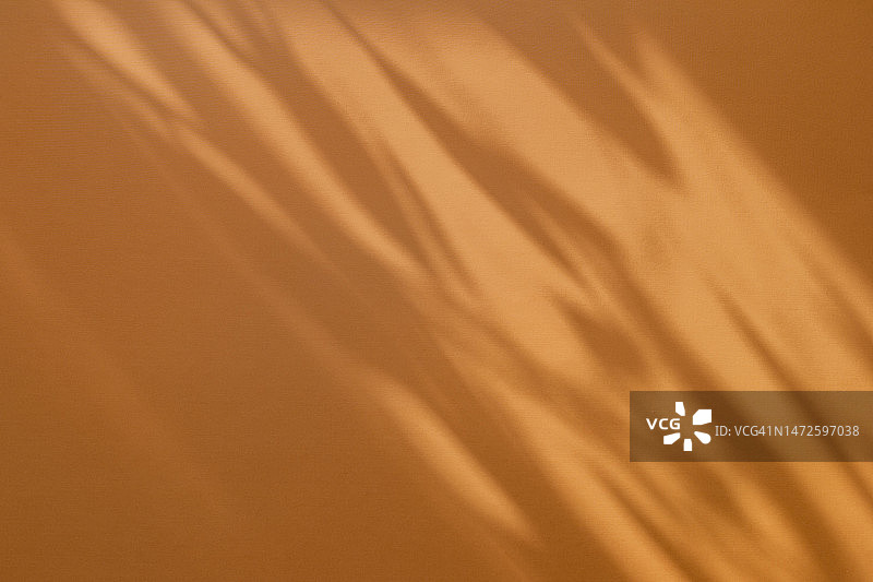 橙色背景下带阴影的树枝树叶图片素材