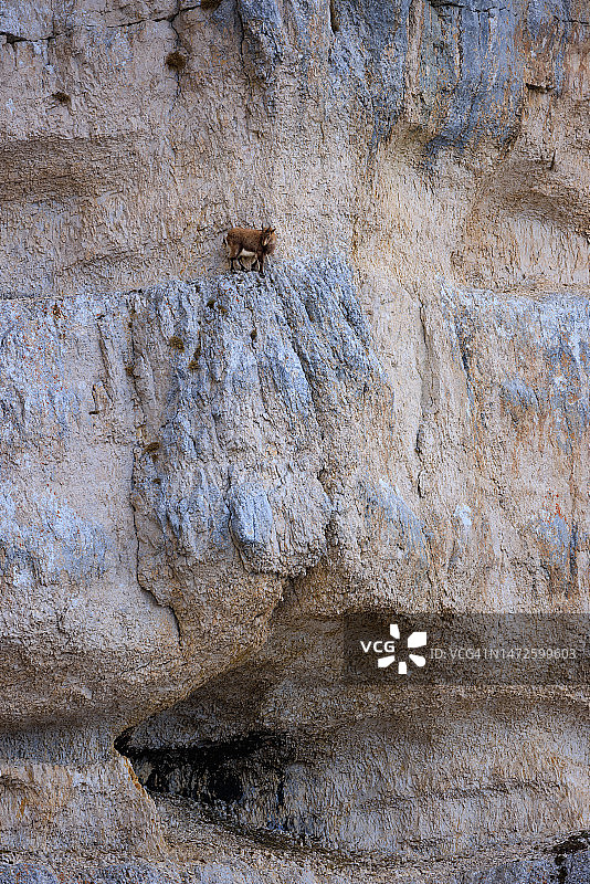 风化墙壁全画幅照片，法国沙帕雷扬芒格拉尼耶山图片素材