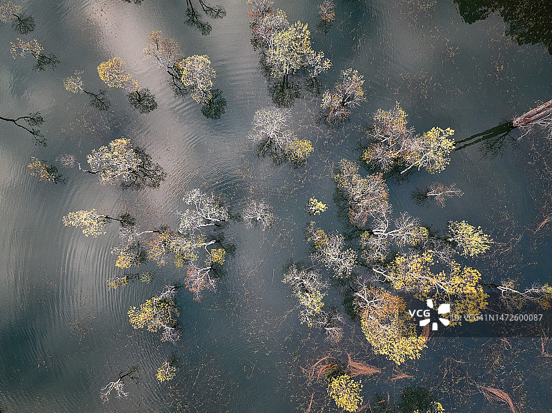 越南林同省大叻市郊区的俯瞰照片图片素材