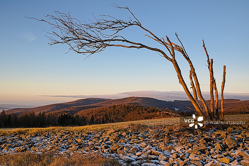捷克共和国彼得罗维采日落时分的田野风光图片素材