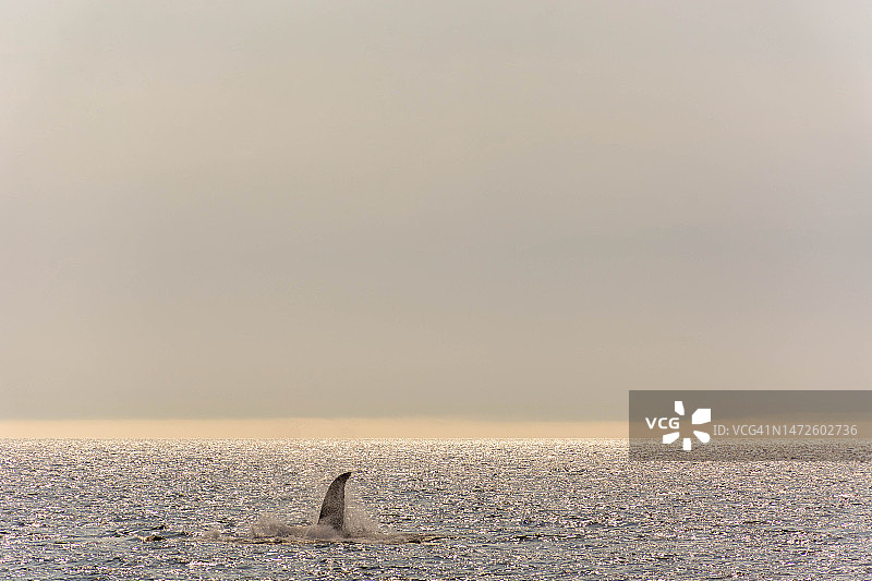加拿大竞赛岩生态保护区的晴空海景图片素材
