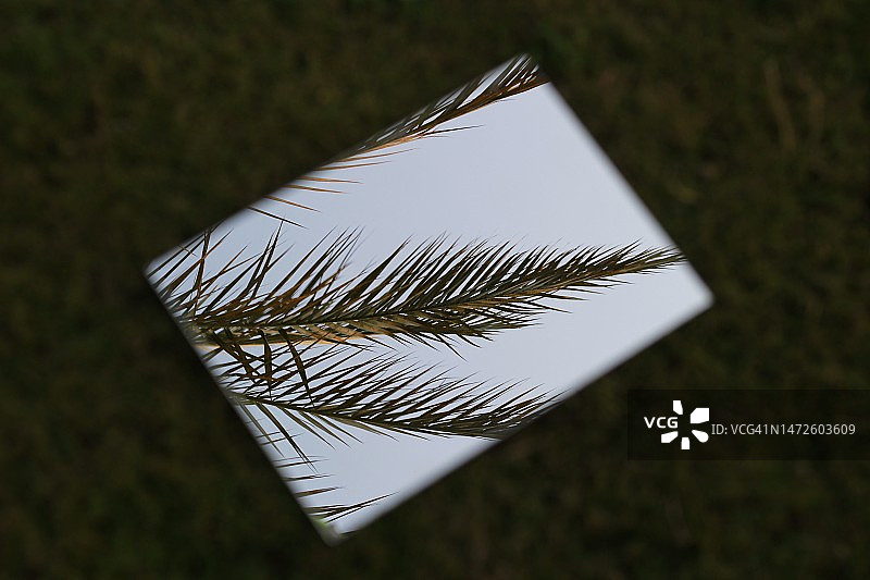 埃及田野上的书本高角度视图图片素材