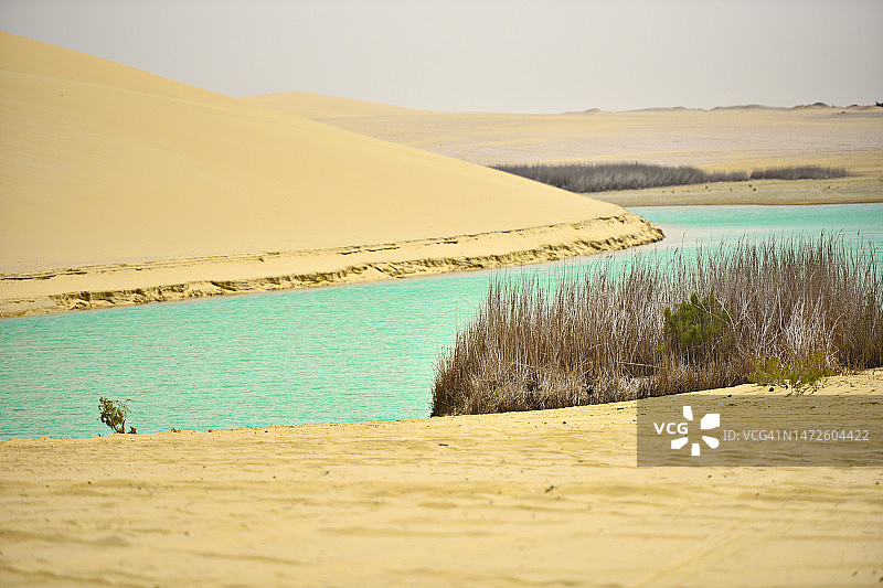 埃及法尤姆晴朗天空下的海滩美景图片素材