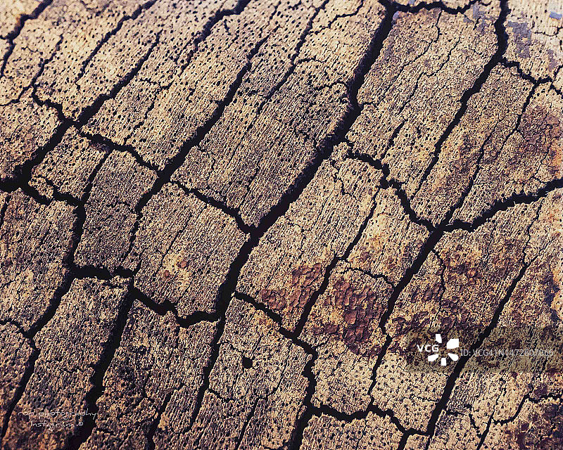 龟裂的土地特写镜头图片素材