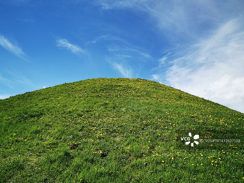 仰视视角下的绿色景观，波兰图片素材
