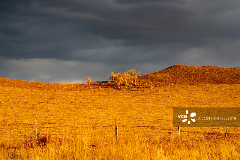 乌兰布统乡的田野风光，中国图片素材