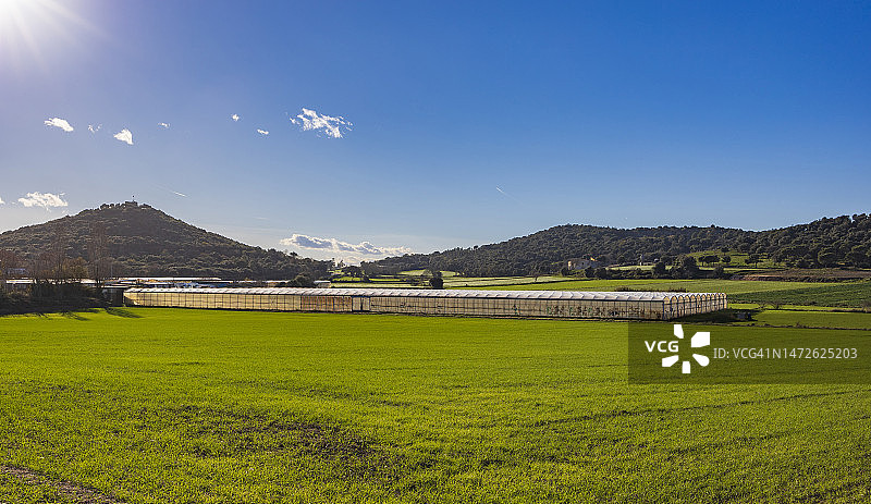 田野里的温室图片素材