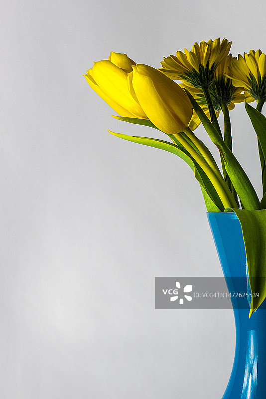 意大利斯皮林贝戈灰色背景花瓶中黄色花朵特写图片素材