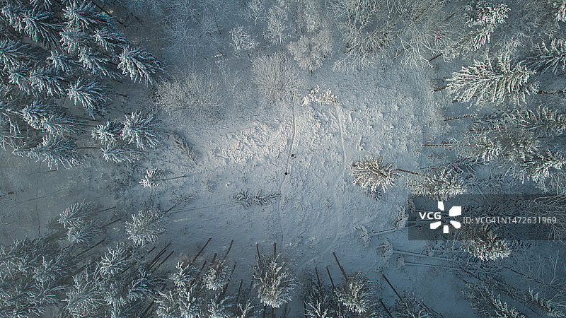 德国亚琛被雪覆盖的树木全景照片图片素材