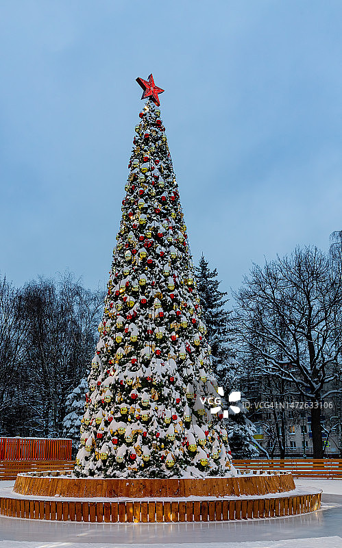 俄罗斯溜冰场上的节日圣诞树图片素材