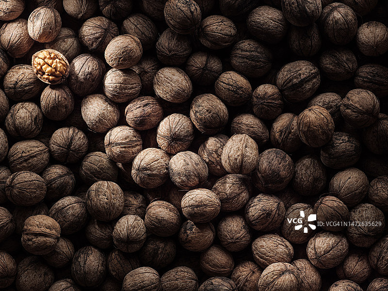 哈萨克斯坦核桃全景照片图片素材
