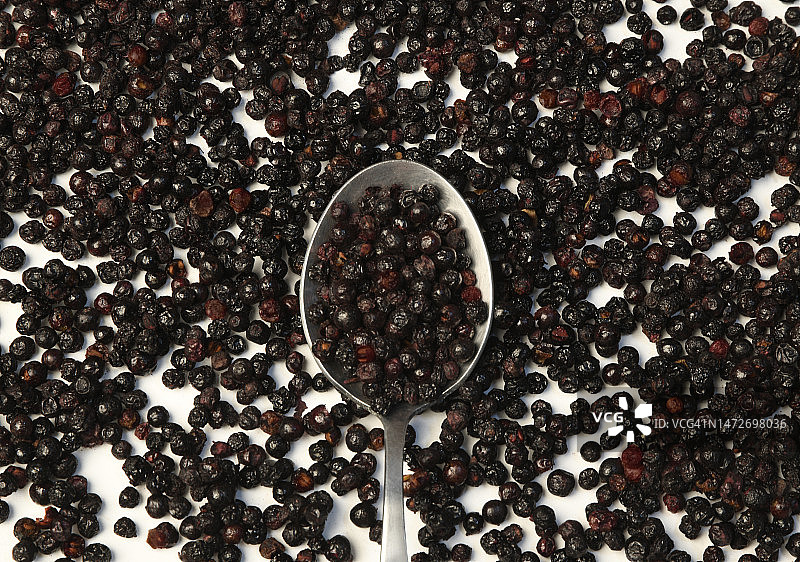 接骨木果图片素材