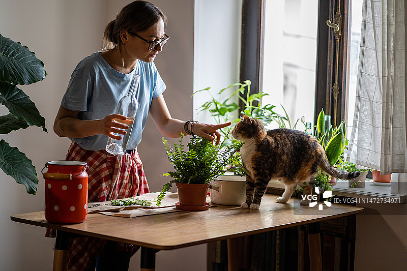 年轻的欧洲女子在家里的花园里和家猫一起照顾室内植物图片素材