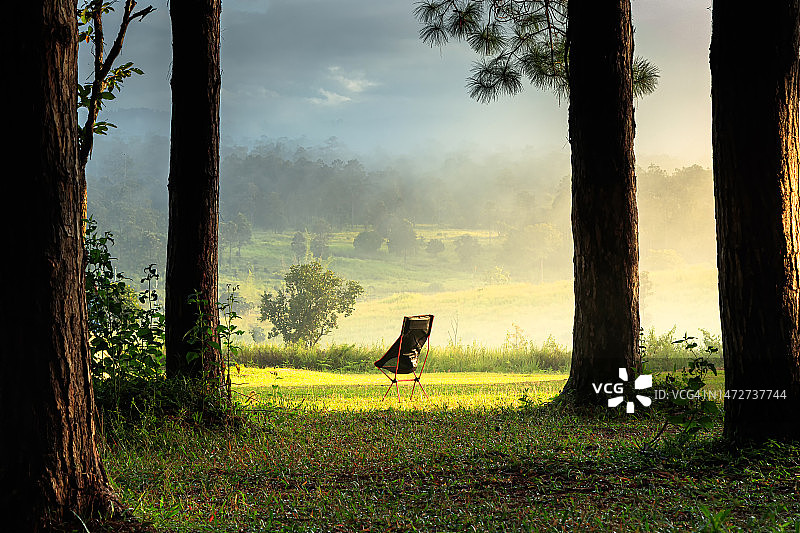 森林中的黑色折叠椅图片素材