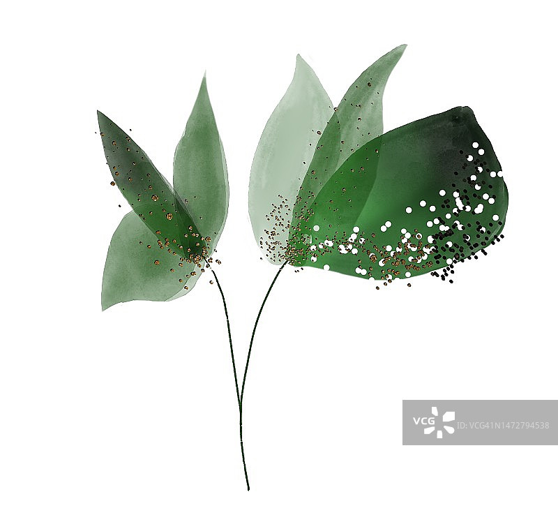 白色背景上的金色水彩绿色梦幻花朵图片素材