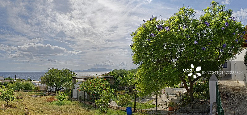 欧洲丁香树，背景是意大利西西里岛的巴西卢佐岛和武尔卡诺岛图片素材