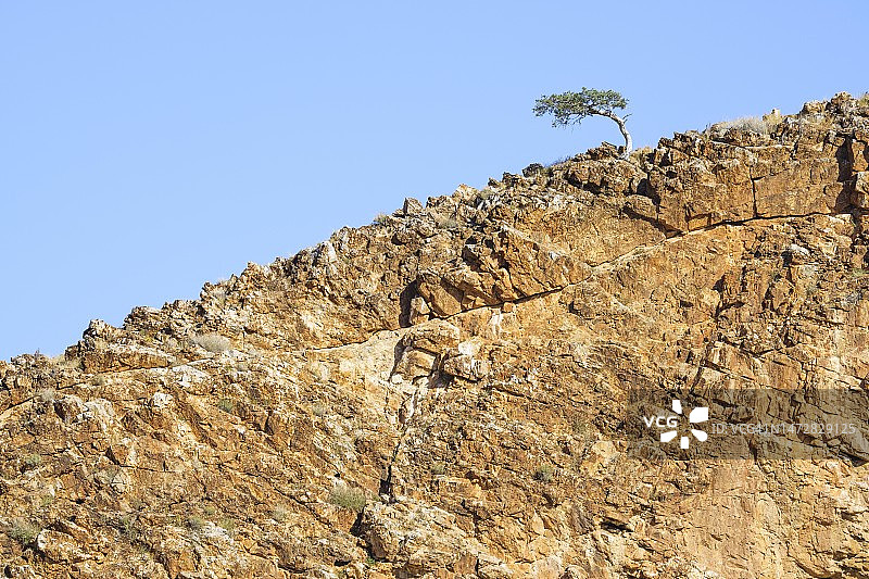 蓝天下山边的单棵树，纳米比亚霍马斯地区图片素材