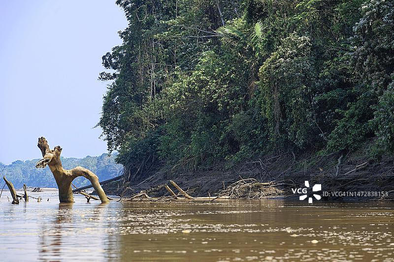 亚马逊热带雨林，马德雷德迪奥斯河，马努国家公园，秘鲁亚马逊图片素材