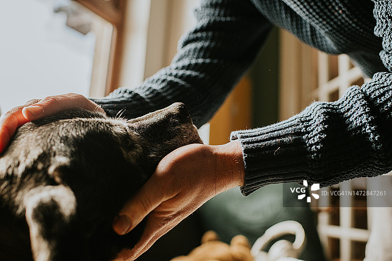 男人轻抚老黑狗的头和下巴图片素材