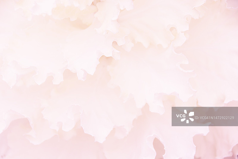 春季图片背景图片素材