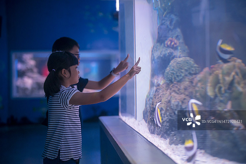 男孩女孩看鱼图片素材