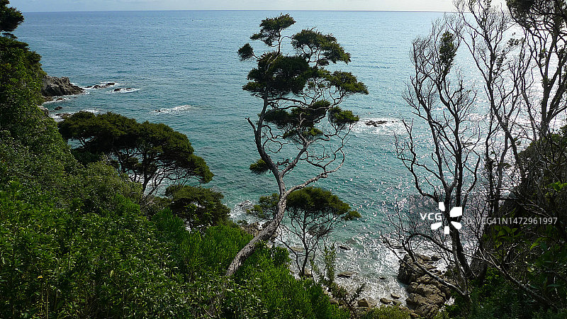 亚伯塔斯曼国家公园 | 新西兰图片素材