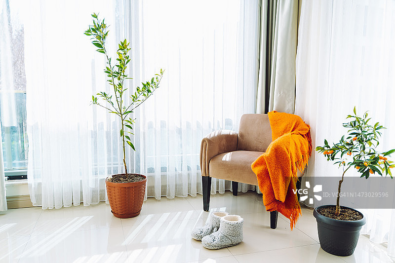 舒适的生活。公寓房间一角，扶手椅上盖着橙色毯子，盆栽植物和靴子在地板上，对着阳光明媚的窗户图片素材
