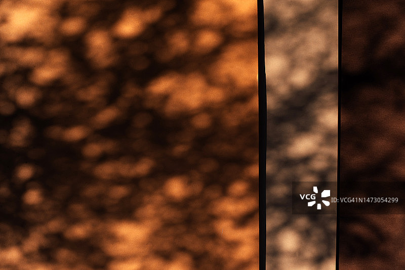 树叶阴影虚焦背景图片素材