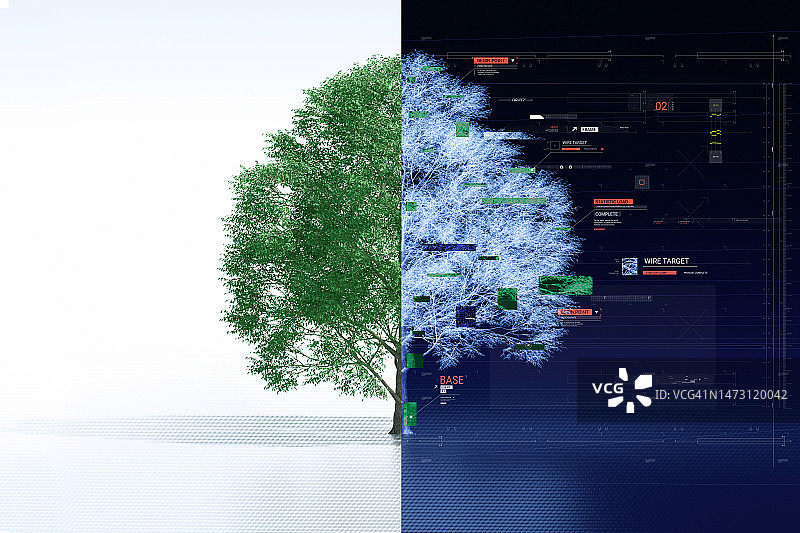 真实的树与数字树图片素材