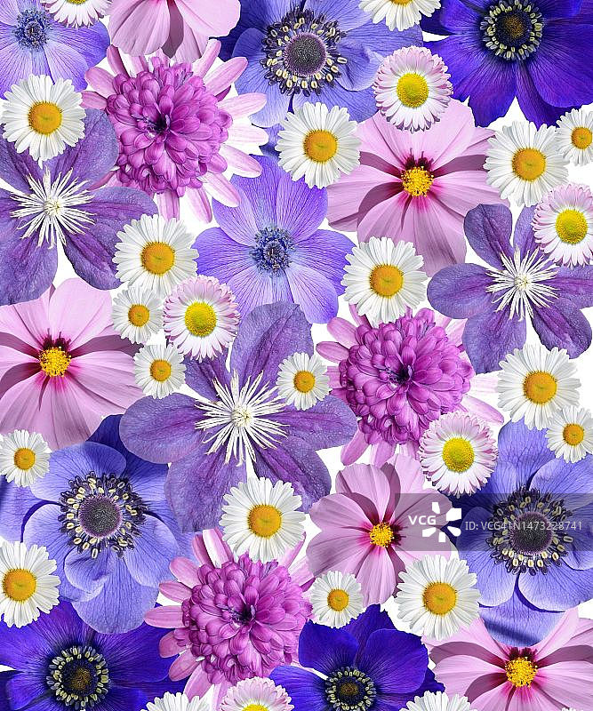 抽象艺术背景矢量图，照片，红蓝浅绿粉花背景图片素材