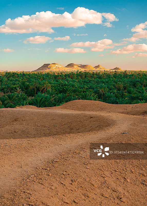 埃及锡瓦绿洲的黄昏景色图片素材