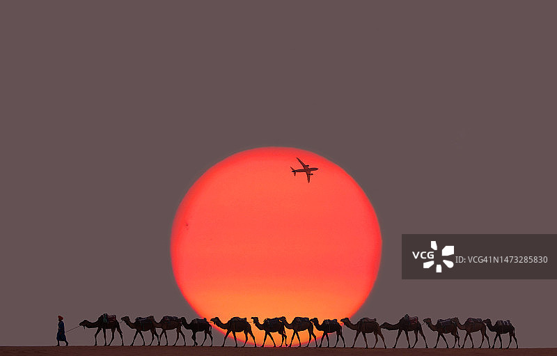 日落时分的骆驼队图片素材