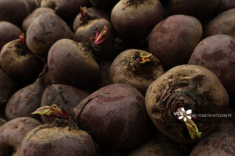 一堆成熟发芽的紫色甜菜完整画面图片素材