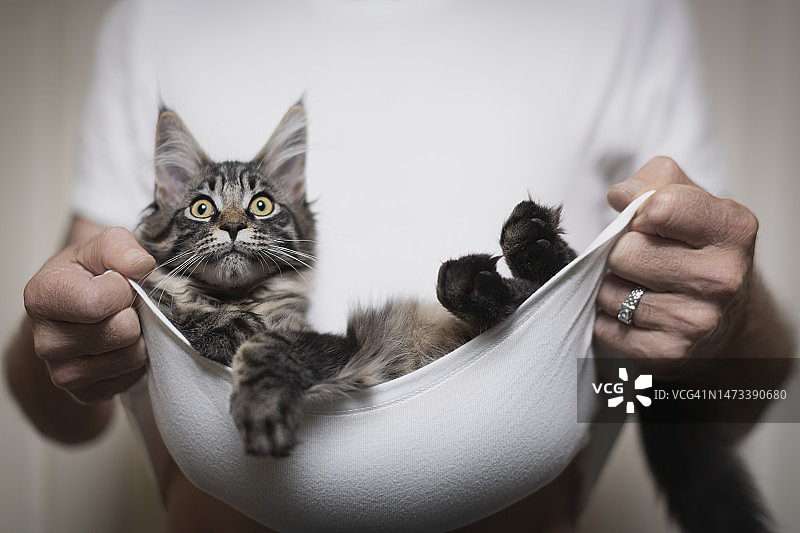 摇篮曲图片素材