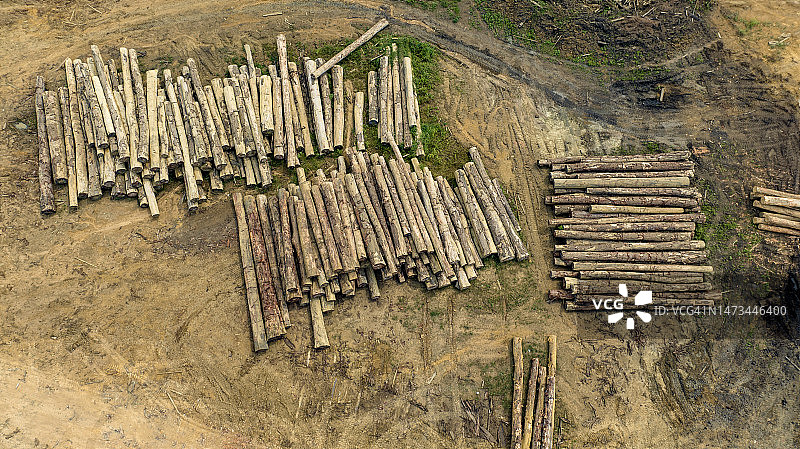 热带雨林原木堆放在木材场航拍。气候变化。森林砍伐图片素材