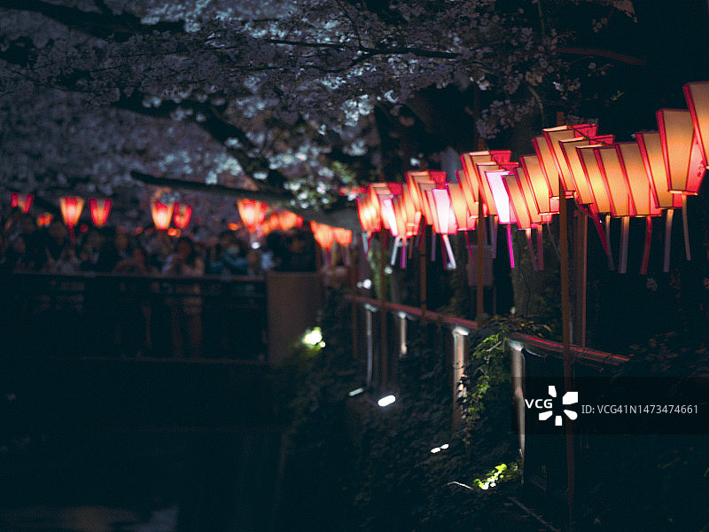 东京目黑川两岸的樱花与红色祈福灯笼对比鲜明图片素材