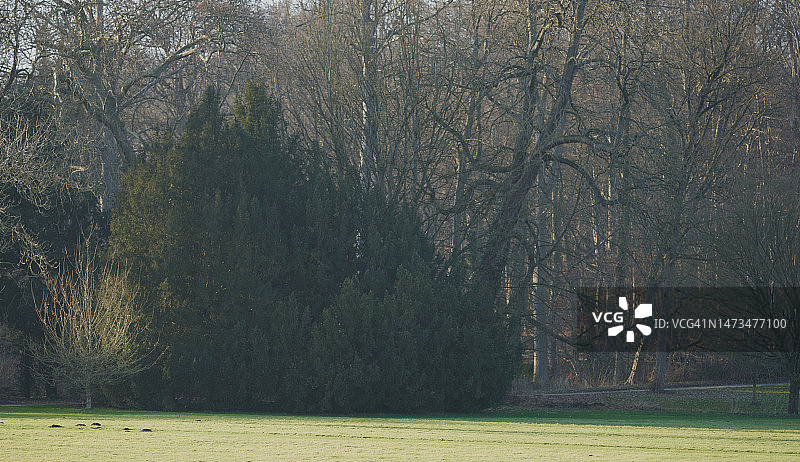 公共花园图片素材