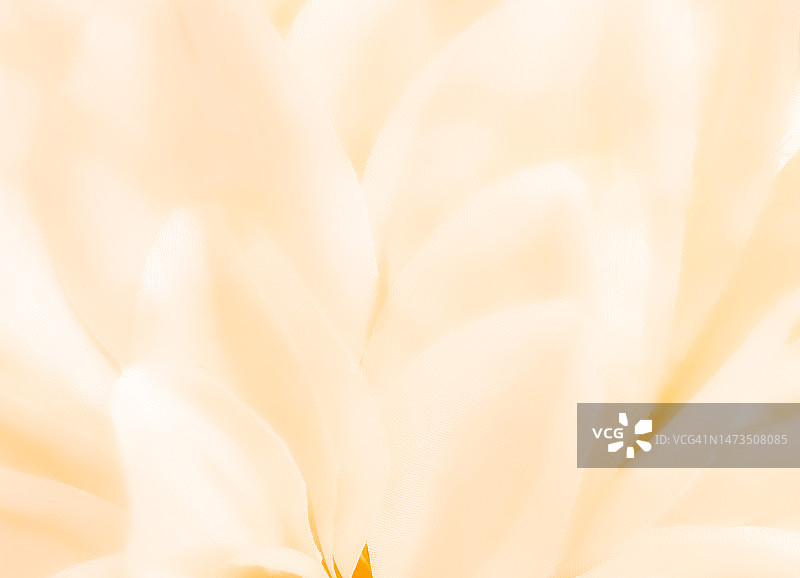 梦幻般的白色织物花瓣图片素材