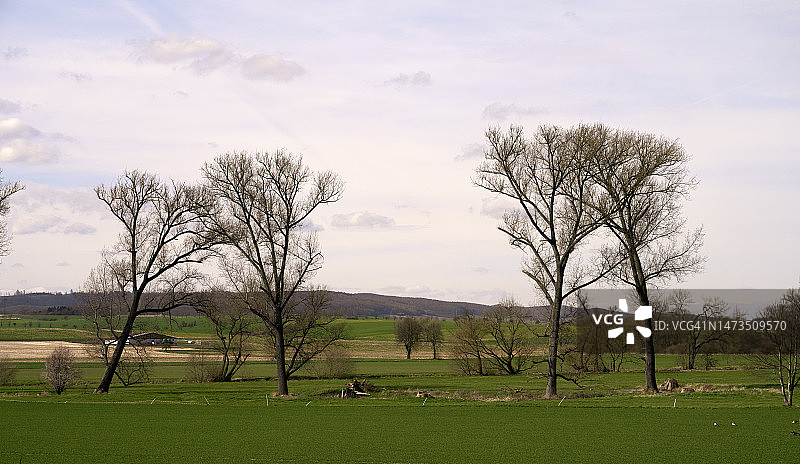 耕地与光秃的树木图片素材