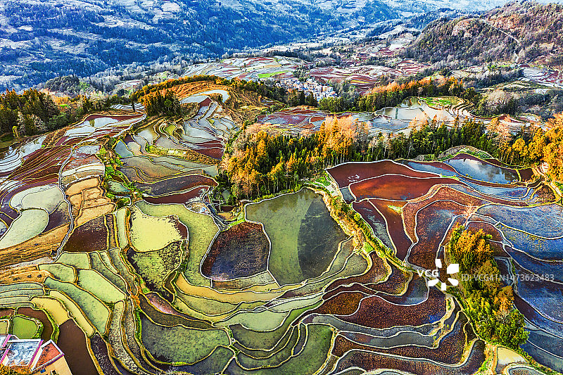 中国云南元阳梯田鸟瞰图片素材