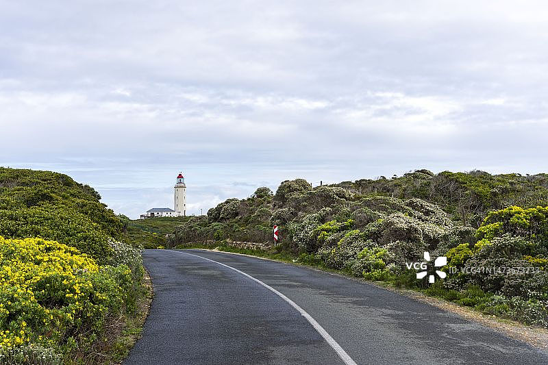 南非西开普省沃克湾危险角灯塔附近的野花图片素材