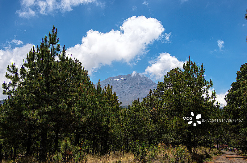 波波卡特佩特火山背景下的可持续森林种植园，墨西哥州阿梅卡梅卡图片素材