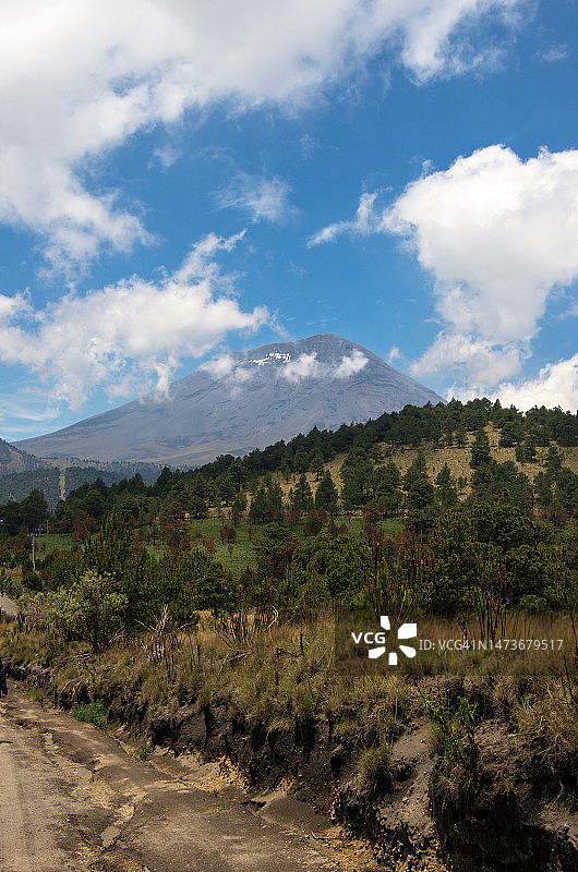 波波卡特佩特火山背景下的可持续森林种植园，墨西哥州阿梅卡梅卡图片素材