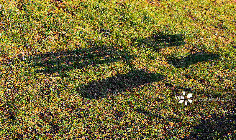 草地上的长椅的影子图片素材