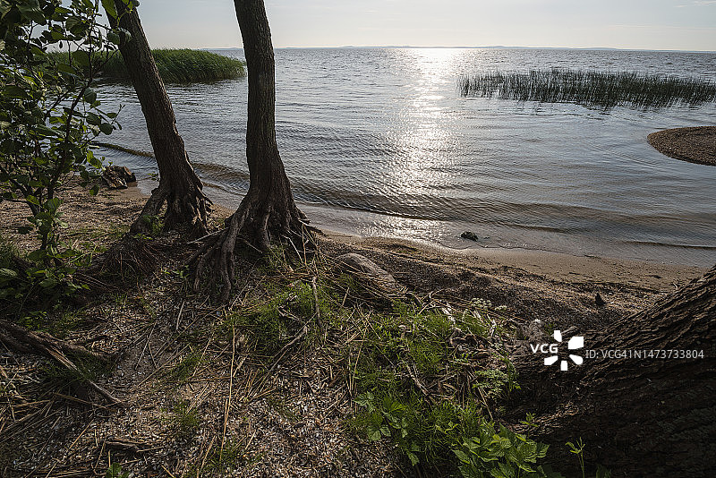 库尔斯沙嘴泻湖景观图片素材