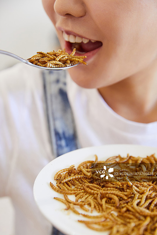 食物，昆虫，食物短缺，食用，食品原料，粉虫图片素材