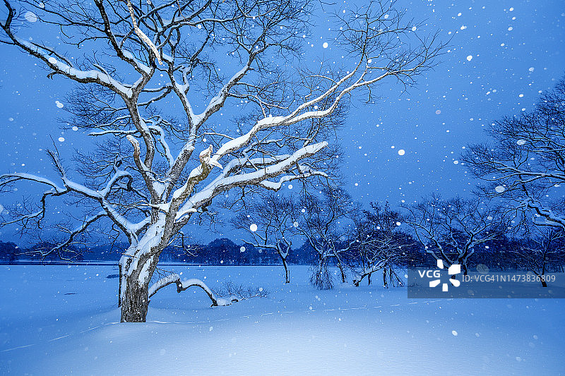 小野川湖清晨雪景图片素材