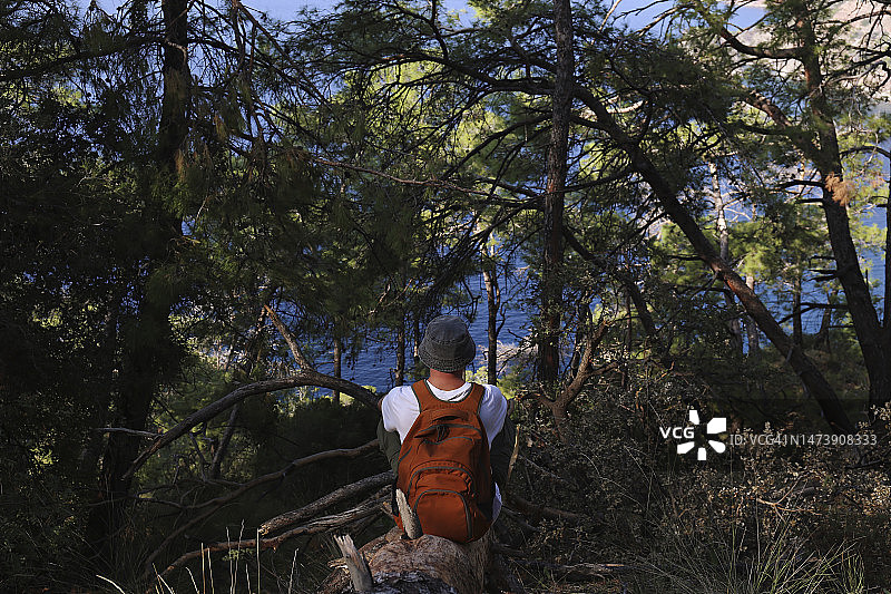 徒步者在森林中坐在树干上眺望大海图片素材