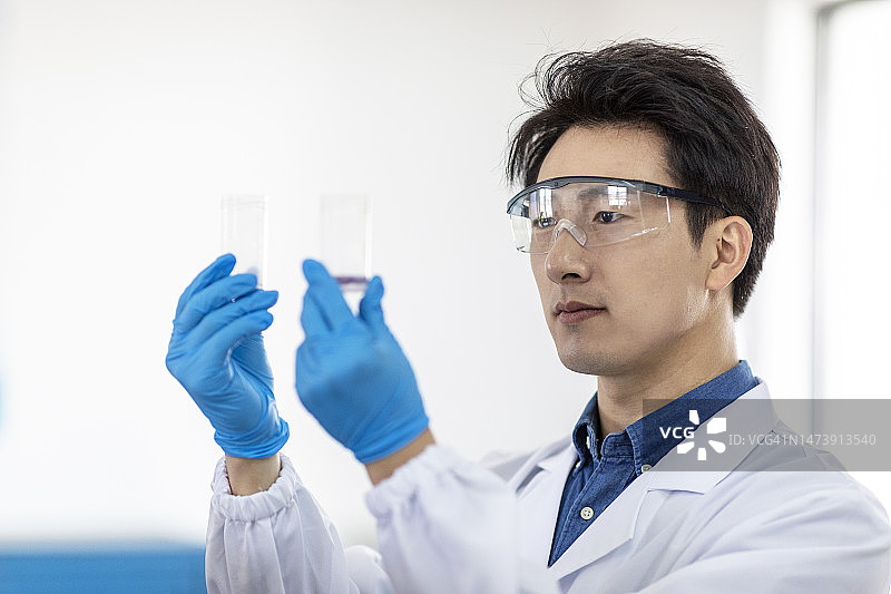 农业科学家在实验室进行转基因实验图片素材