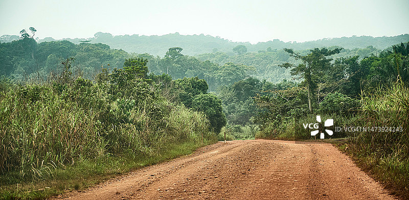 穿过热带雨林的红色尘土路图片素材